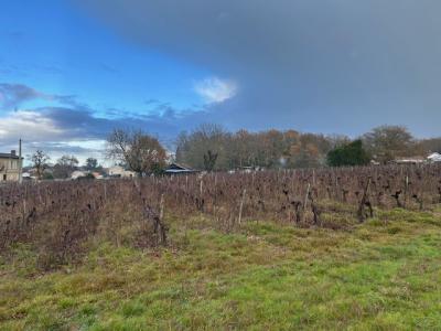 For sale Castres-gironde 460 m2 Gironde (33640) photo 0