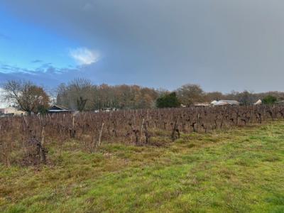 Acheter Terrain 460 m2 Castres-gironde