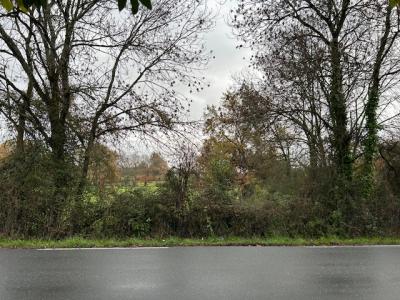 For sale Artigues-pres-bordeaux 450 m2 Gironde (33370) photo 1