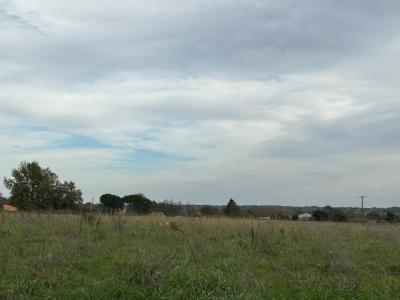 For sale Galgon 576 m2 Gironde (33133) photo 0