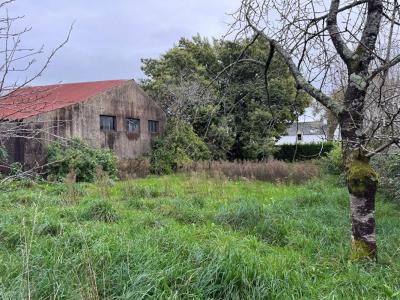 For sale Plumergat 390 m2 Morbihan (56400) photo 0