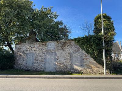 Annonce Vente Maison Plumergat 56