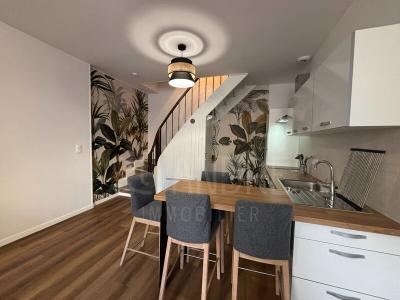 Annonce Location 2 pi�ces Maison Arzay 38