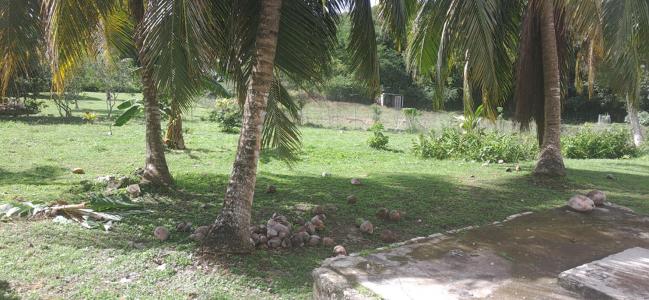 Annonce Vente 7 pi�ces Maison Grand-bourg 971