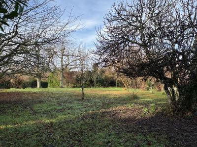 For sale Targon 5 rooms 232 m2 Gironde (33760) photo 2