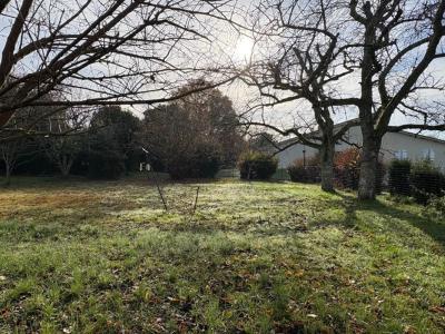 For sale Targon 5 rooms 232 m2 Gironde (33760) photo 4