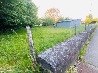 Annonce Vente Terrain Montrond-le-chateau 25