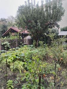 Acheter Immeuble Montbeliard 233200 euros