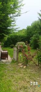 Annonce Location 2 pi�ces Maison Perpezac-le-noir 19