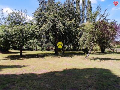 Annonce Vente Terrain Montet 03