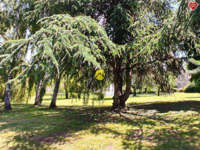 Acheter Terrain Montet Allier