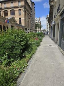 Acheter Commerce Paris-13eme-arrondissement 35000 euros