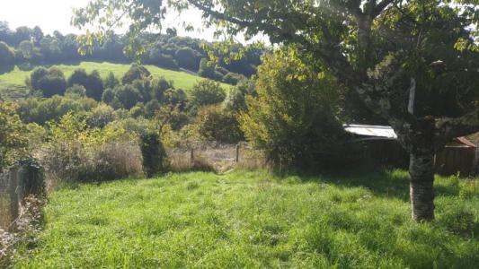 Annonce Vente 3 pi�ces Maison  87