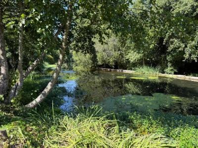 Acheter Maison  Vienne