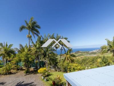 For sale Saint-joseph 9 rooms 250 m2 Reunion (97480) photo 1
