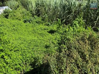 Annonce Vente Terrain Saint-pierre 974