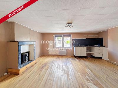 Acheter Maison 40 m2 Saint-laurent-sur-sevre