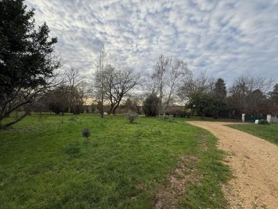 Acheter Maison 234 m2 Saint-coutant