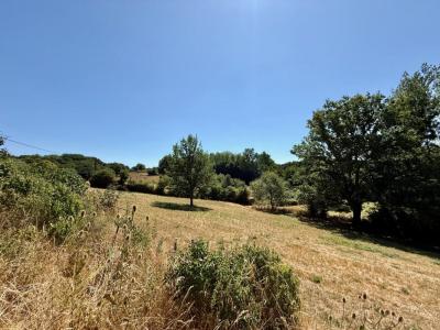 For sale Bouchage 7 rooms 189 m2 Charente (16350) photo 2