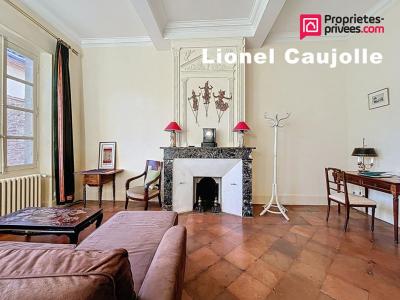 Acheter Maison Lisle-sur-tarn Tarn