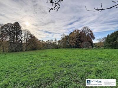 Annonce Vente Immeuble Coussac-bonneval 87