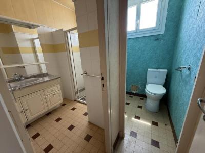 Acheter Maison Saint-brice-sur-vienne Haute vienne