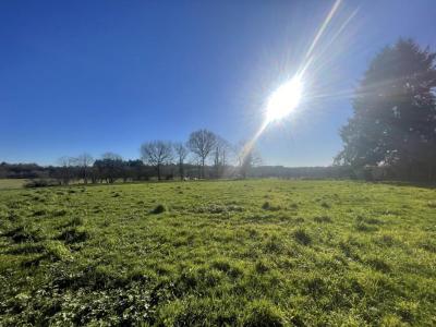 Acheter Terrain 31860 m2 Saint-yrieix-la-perche