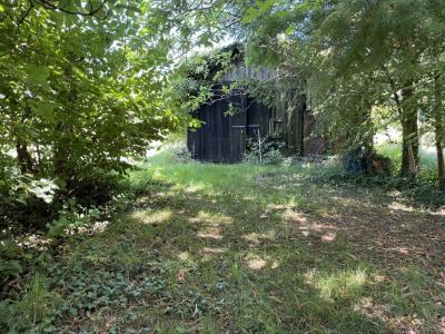 Annonce Vente Terrain Bussiere-galant 87