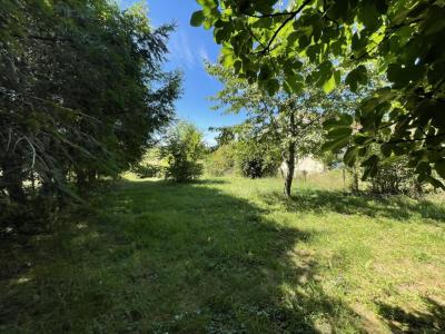 Acheter Terrain 1590 m2 Bussiere-galant