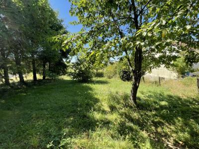 Acheter Terrain Bussiere-galant Haute vienne