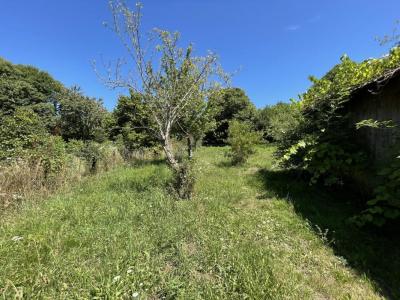 Acheter Terrain Bussiere-galant 13500 euros