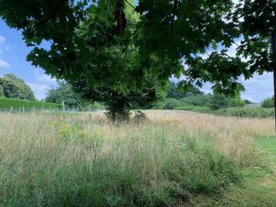 Annonce Vente Terrain Saint-yrieix-la-perche 87