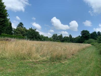 Acheter Terrain Saint-yrieix-la-perche Haute vienne