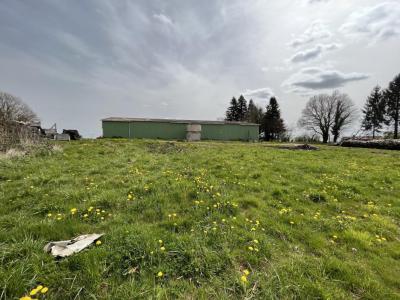 Acheter Maison 530 m2 Saint-priest-les-fougeres