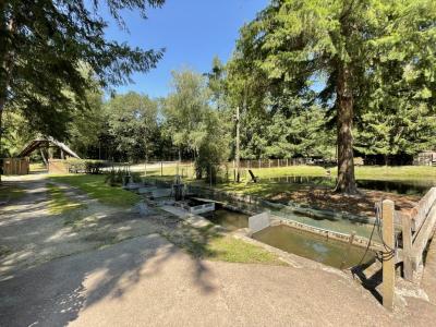 Annonce Vente 3 pi�ces Maison Palais-sur-vienne 87