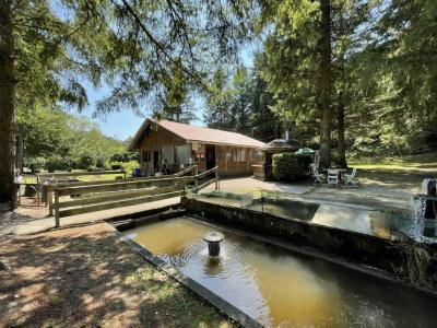 Acheter Maison 50 m2 Palais-sur-vienne