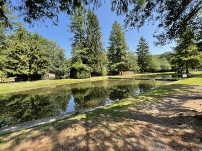 Acheter Maison Palais-sur-vienne Haute vienne