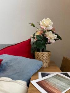 Louer Appartement Lyon-7eme-arrondissement Rhone