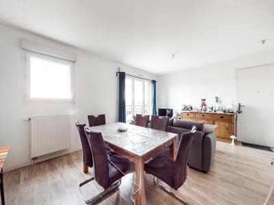 Annonce Location 2 pi�ces Appartement Ingre 45