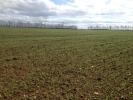 For sale Land Cauvicourt  343 m2