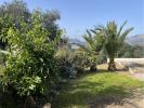Location Appartement Bastelicaccia  2 pieces 36 m2