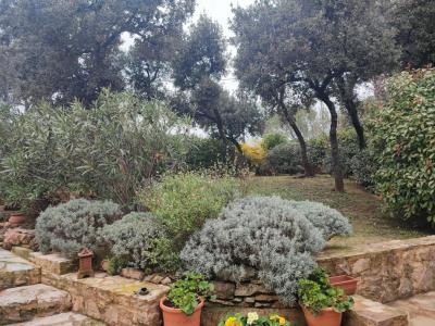 Acheter Maison Bagnols-sur-ceze 335000 euros