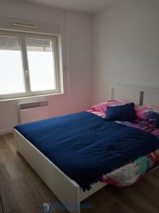 Annonce Location Appartement Villeurbanne 69