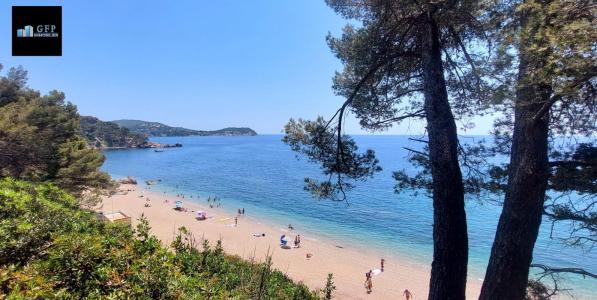 Annonce Vente 4 pi�ces Maison Toulon 83