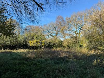 Annonce Vente Prestige Plumergat 56