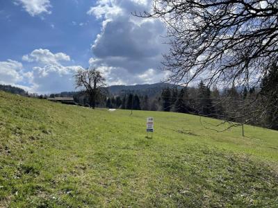 Annonce Vente 6 pi�ces Maison Sallanches 74