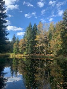 Acheter Terrain 9200 m2 Faucogney-et-la-mer