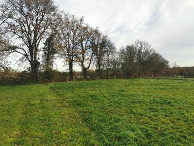 Acheter Maison  Haute vienne