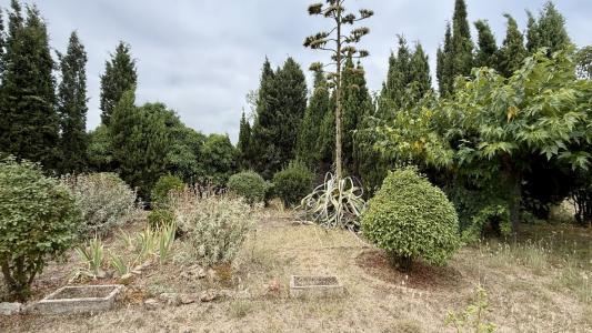 For sale Centre 456 m2 Herault (34120) photo 2