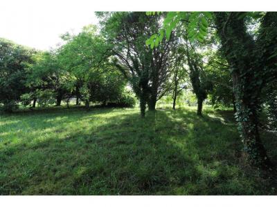 Annonce Vente Terrain Saint-georges-d'oleron 17